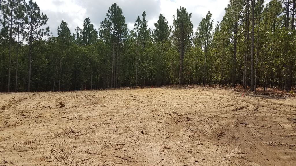 Find your lot and let us do the rest!